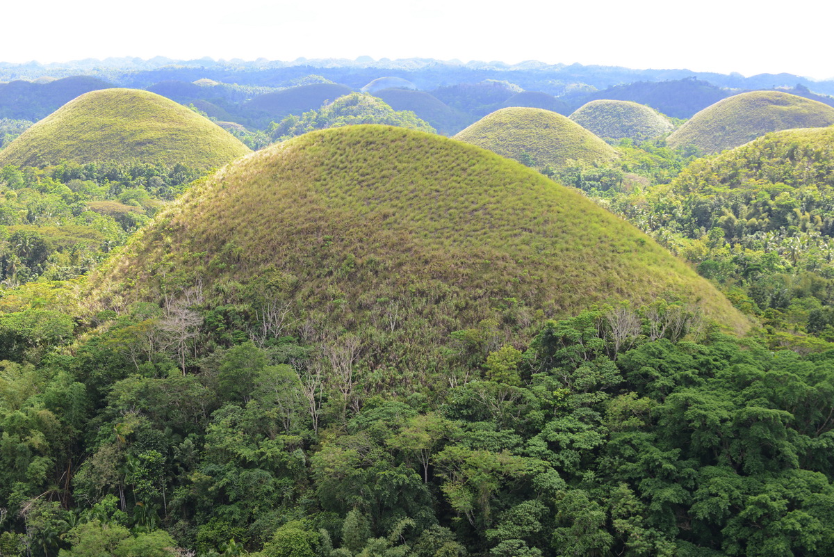 Die Chocolate Hills gibt es dann nur auf den Philippinen zu bestaunen