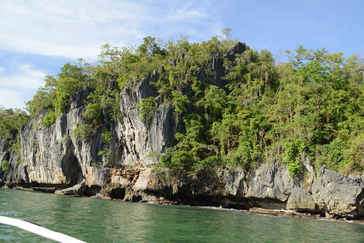 In Thailand einen der vielen Regenwälder erleben